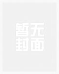 小说家没有演绎之星